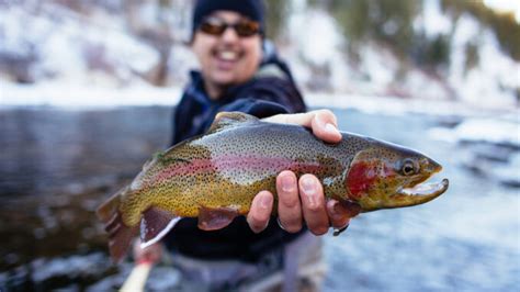 one-day fishing license colorado|colorado fishing regulations 2022.
